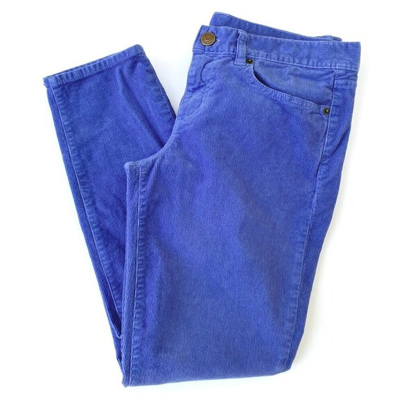 J.Crew Womens Toothpick Corduroy Skinny Ankle Pants Size 29 Blue Stretch Fall - Picture 1 of 12